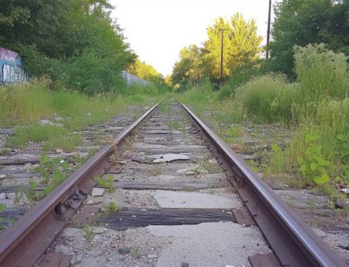 Hidden Potential of Local Networks